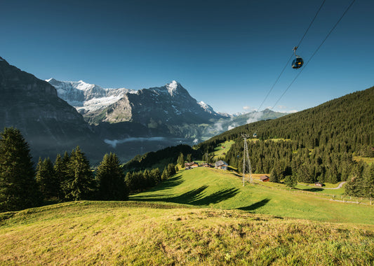 Grindelwald-First